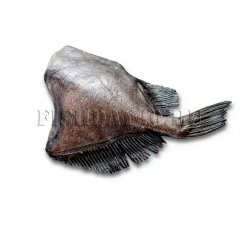 Солнечник (Дори) 10 кг. (620 руб/кг)