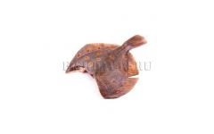 Камбала северная 300-500 гр. 12 кг (370руб/кг)